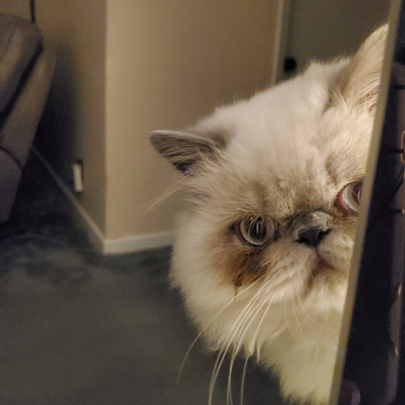 Ambrosius and Truffles - Picture 14 of 14